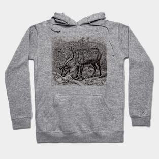 Reindeer Vintage Wildlife Illustration Hoodie